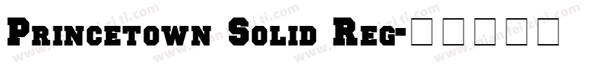 Princetown Solid Reg字体转换
